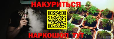 прущие грибы Будённовск