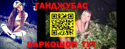 прущие грибы Будённовск