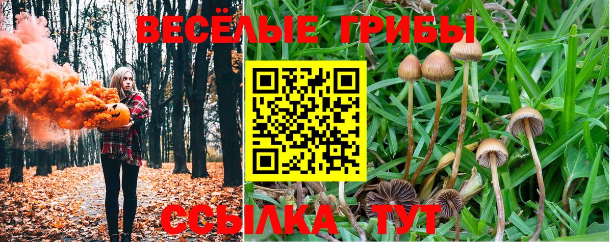 Красный Сулин  Галлюциногенные грибы Magic Shrooms  Вход с VPN  Галлюциногенные грибы Cubensis 