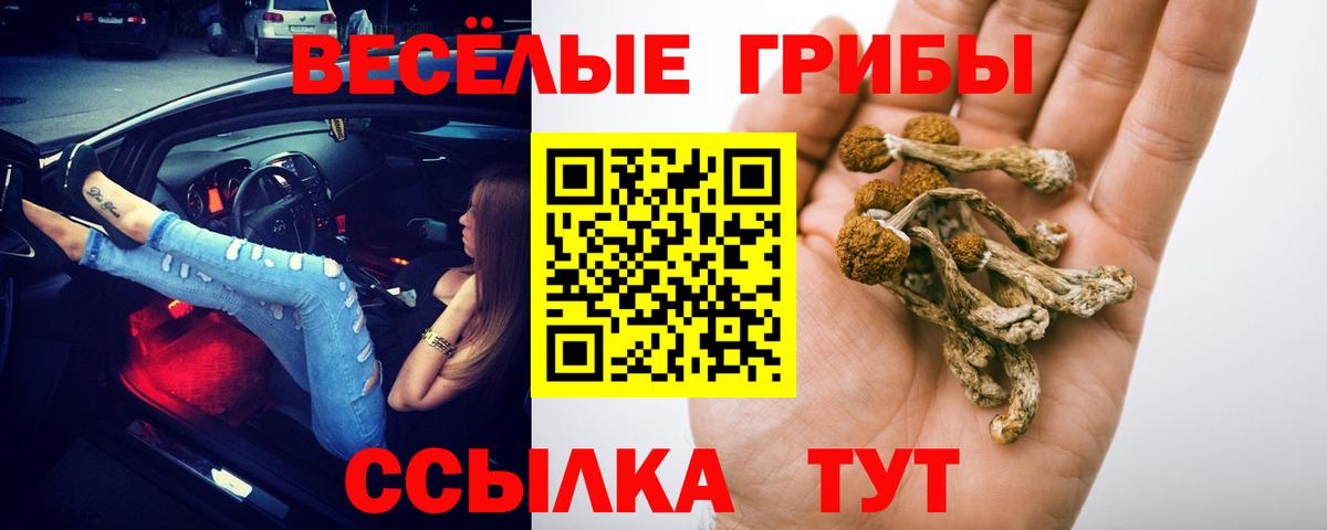 Галлюциногенные грибы Psilocybine cubensis Красный Сулин